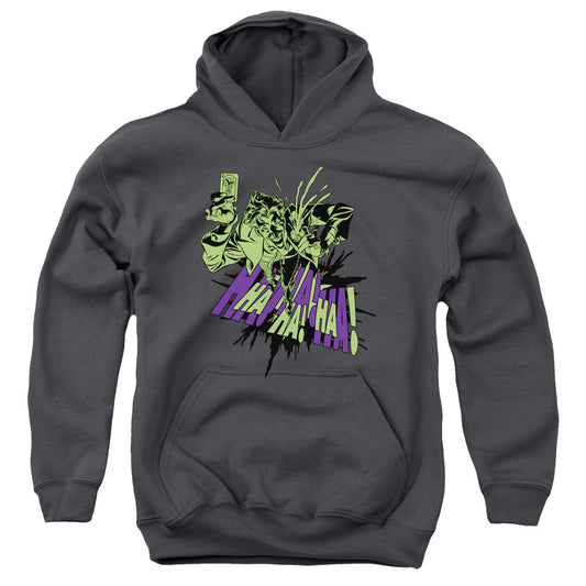 Batman Ell My Flower Kids Youth Hoodie Charcoal Officially Licensed