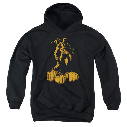 Batman A Bat Among Pumpkins Kids Youth Hoodie Black Officially Licensed