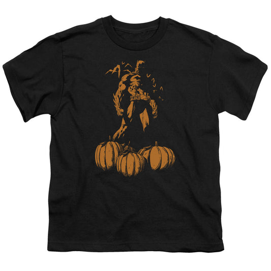 Batman A Bat Among Pumpkins Kids Youth T Shirt Black Officially Licensed
