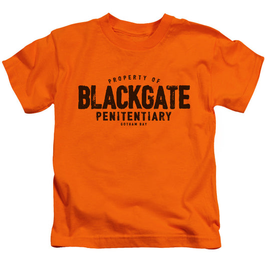 Batman Blackgate Juvenile Kids Youth T Shirt Orange Officially Licensed
