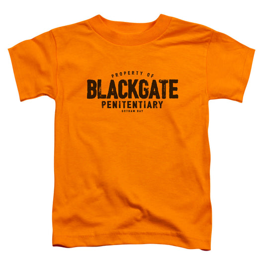 Batman Blackgate Toddler Kids Youth T Shirt Orange Officially Licensed