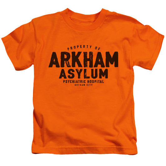 Batman Arkham Asylum Juvenile Kids Youth T Shirt Orange Officially Licensed