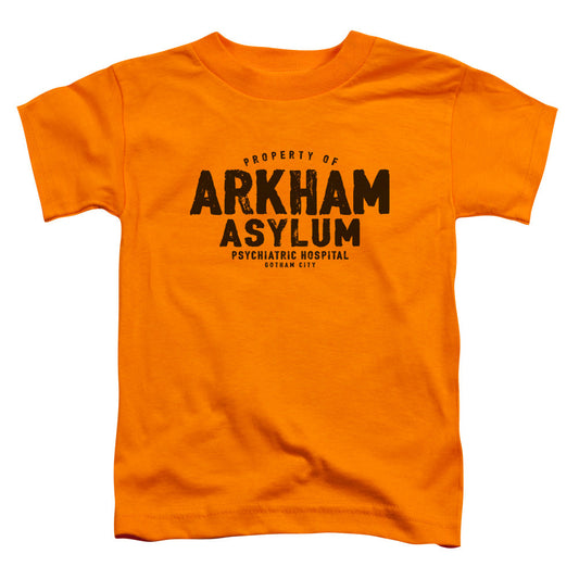 Batman Arkham Asylum Toddler Kids Youth T Shirt Orange Officially Licensed
