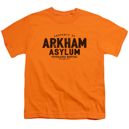 Batman Arkham Asylum Kids Youth T Shirt Orange Officially Licensed