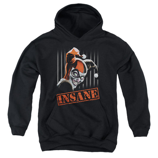 Batman Insane Kids Youth Hoodie Black Officially Licensed