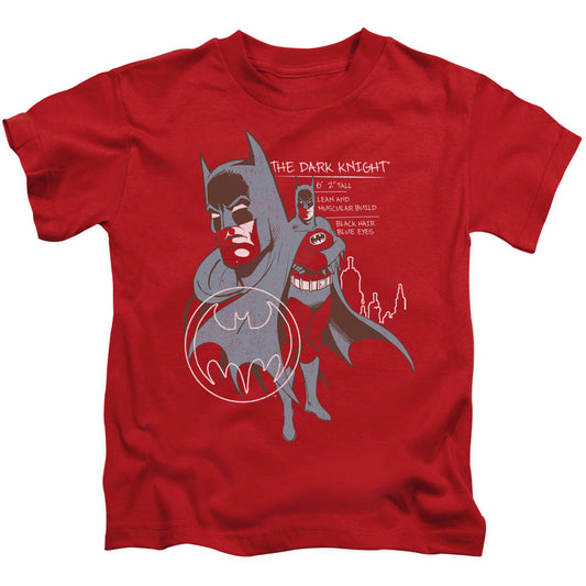 Batman Lean And Muscular Juvenile Kids Youth T Shirt Red Officially Licensed