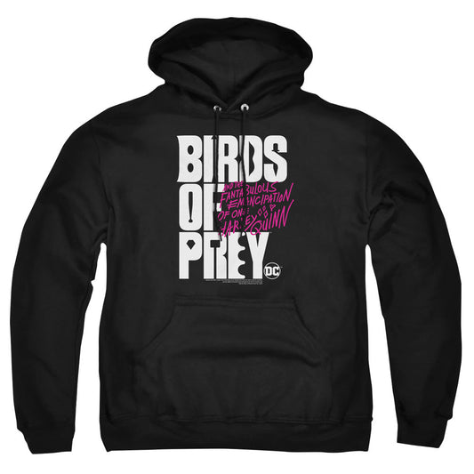 Birds Of Prey Birds Of Prey Logo Mens Hoodie Black Officially Licensed