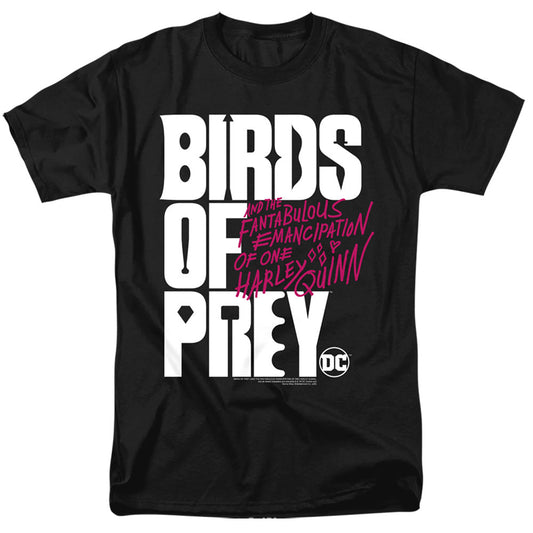 Birds Of Prey Birds Of Prey Logo Mens T Shirt Black Officially Licensed