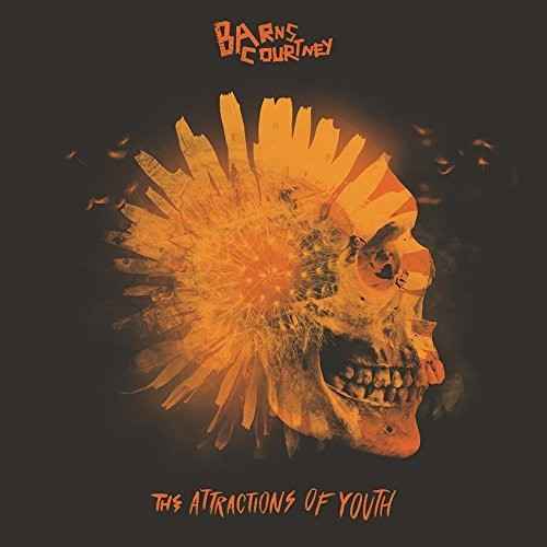 The Attractions Of Youth (Picture Disc Vinyl) [Vinyl]