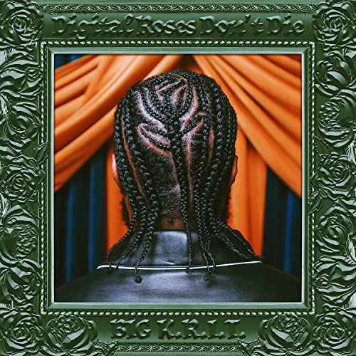 Digital Roses Don't Die [Vinyl]
