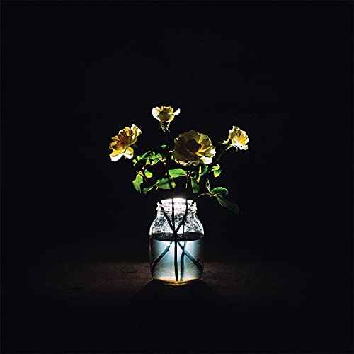 Billy Strings - Renewal [2 LP] [Vinyl]