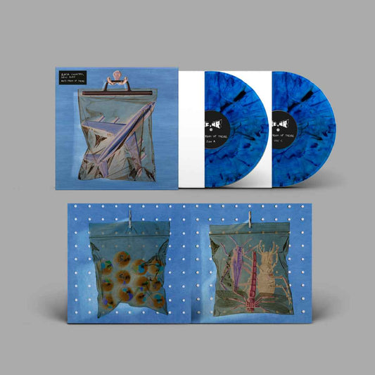 Ants From Up There (Indie Exclusive, Blue Marbled Vinyl) (With Book, Gatefold LP Jacket, 140 Gram Vinyl) (2 Lp's) [Vinyl]