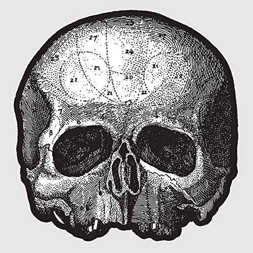 Black Pearl 10” (Die Cut Skull Pic Disc) [Vinyl]