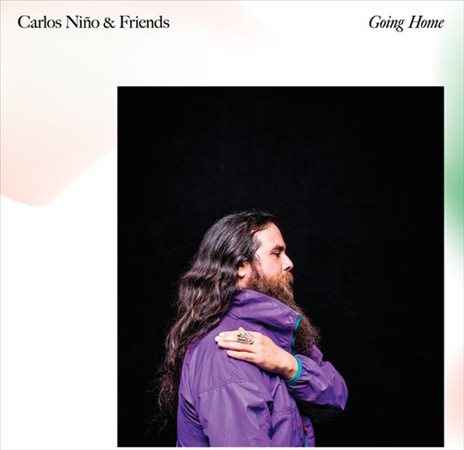 GOING HOME [Vinyl]
