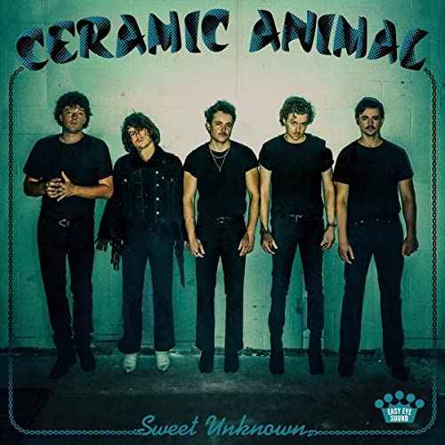 Sweet Unknown [Blue Smoke Translucent LP] [Vinyl]
