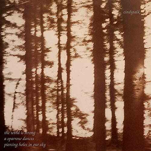 Wind Is Strong [Vinyl]