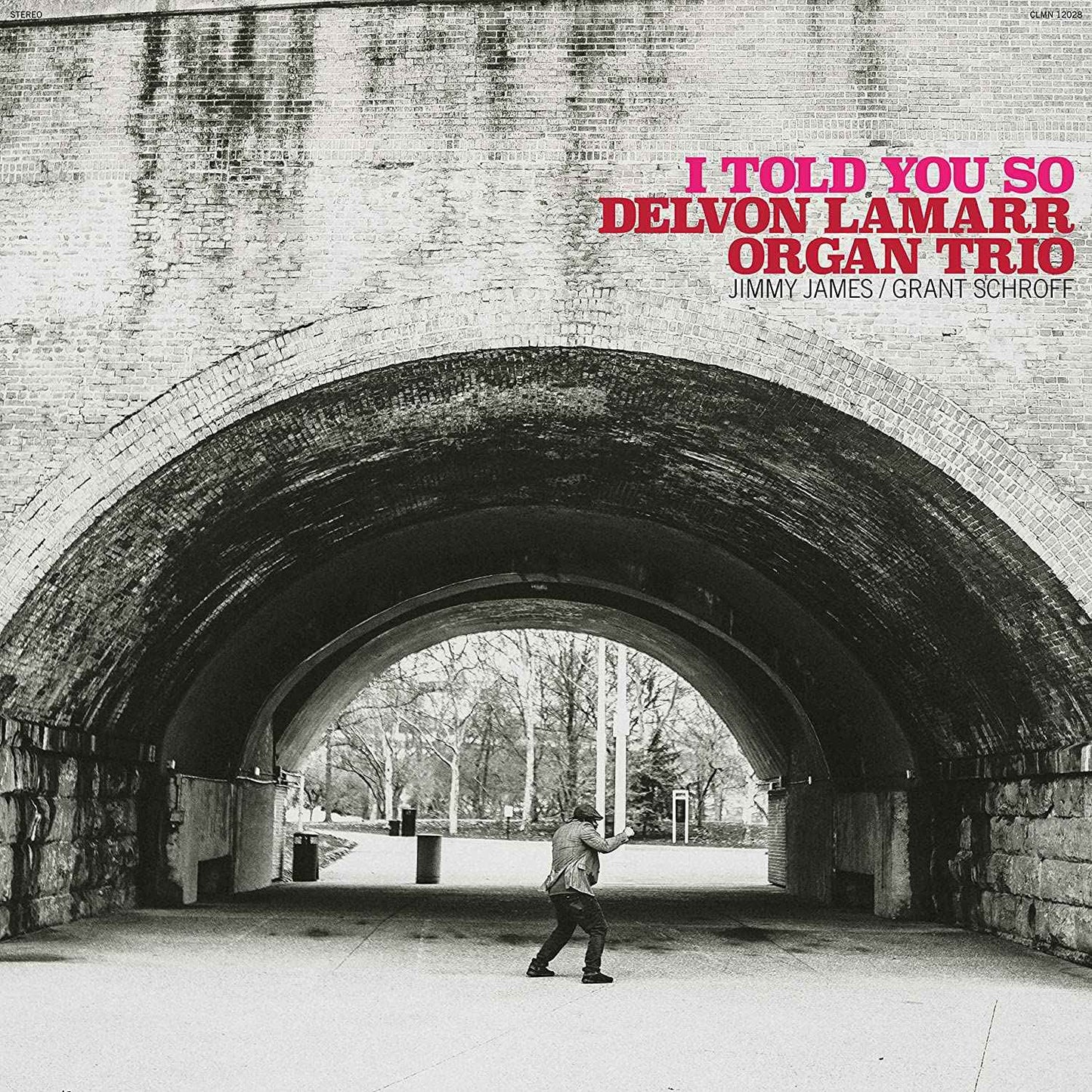 I Told You So (Black Vinyl) [Vinyl]