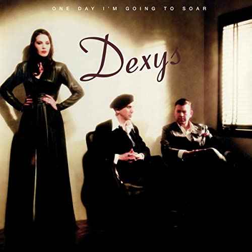 One Day I’m Going to Soar [Vinyl]
