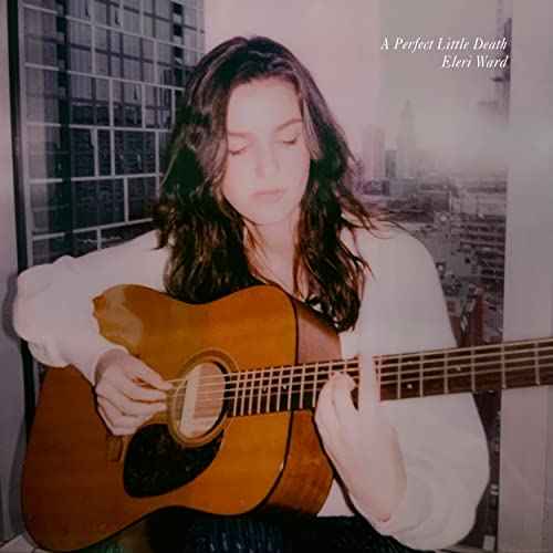A Perfect Little Death [Vinyl]