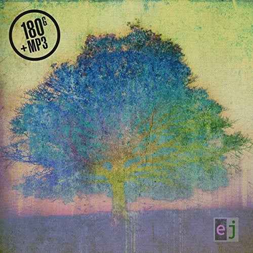 Eric Johnson - EJ [Vinyl]