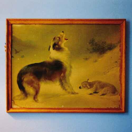 The Rescue (Remastered, Anniversary Edition) [Vinyl]
