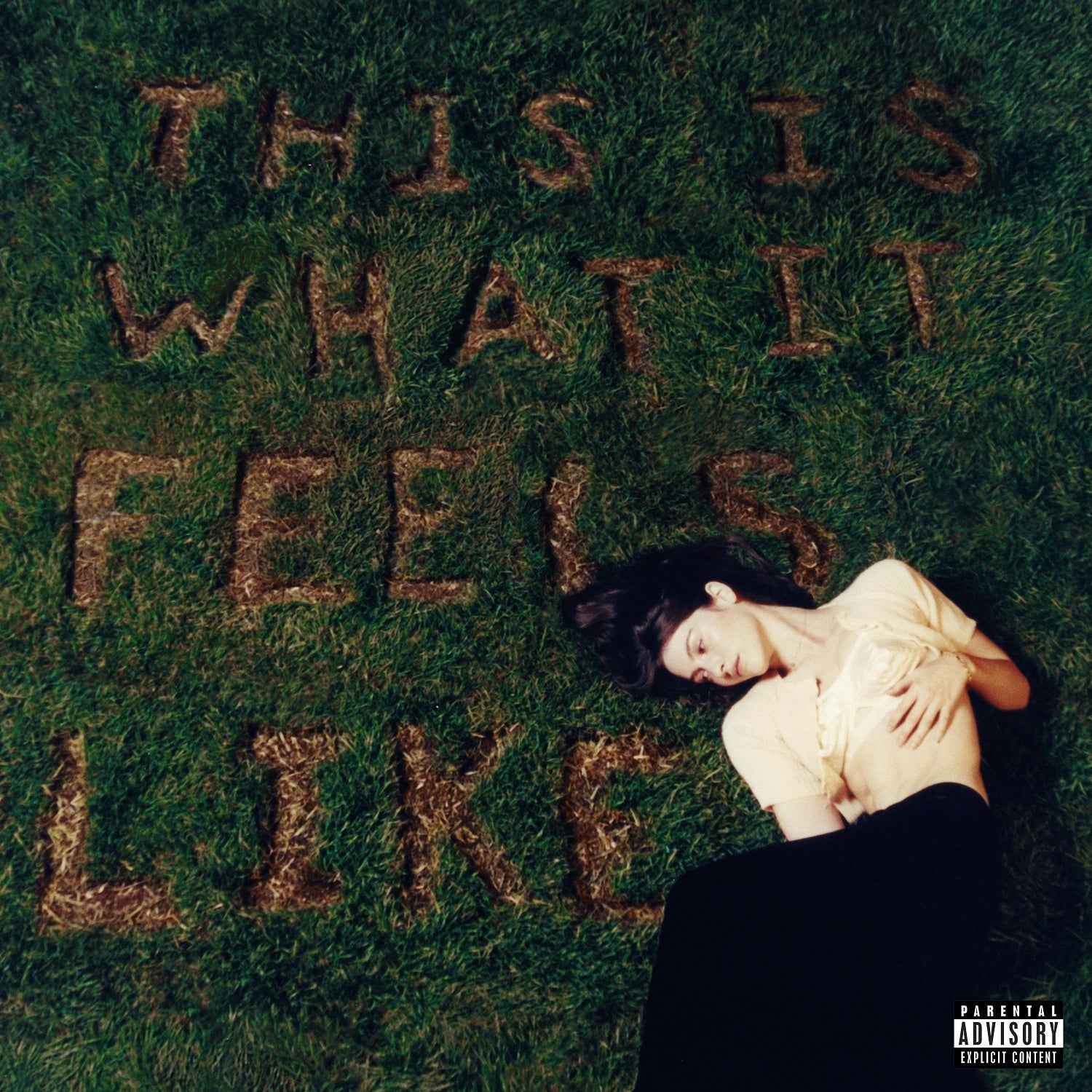 This Is What It Feels Like [LP] [Vinyl]