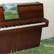 The Sophtware Slump.....On A Wooden Piano [Vinyl]