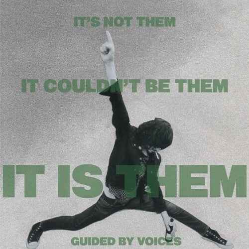 It's Not Them. It Couldn't Be Them. It Is Them! [Vinyl]