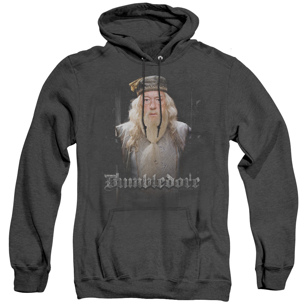 Harry Potter Dumble Doors Heather Mens Hoodie Black Officially Licensed