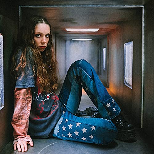 The Walls Are Way Too Thin [LP] [Vinyl]