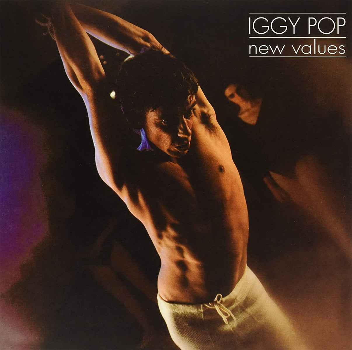 NEW VALUES [Vinyl]
