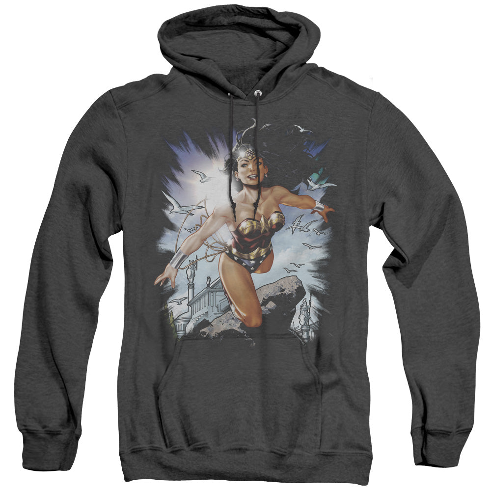 Justice League Of America Of Themyscira Heather Mens Hoodie Black Officially Licensed