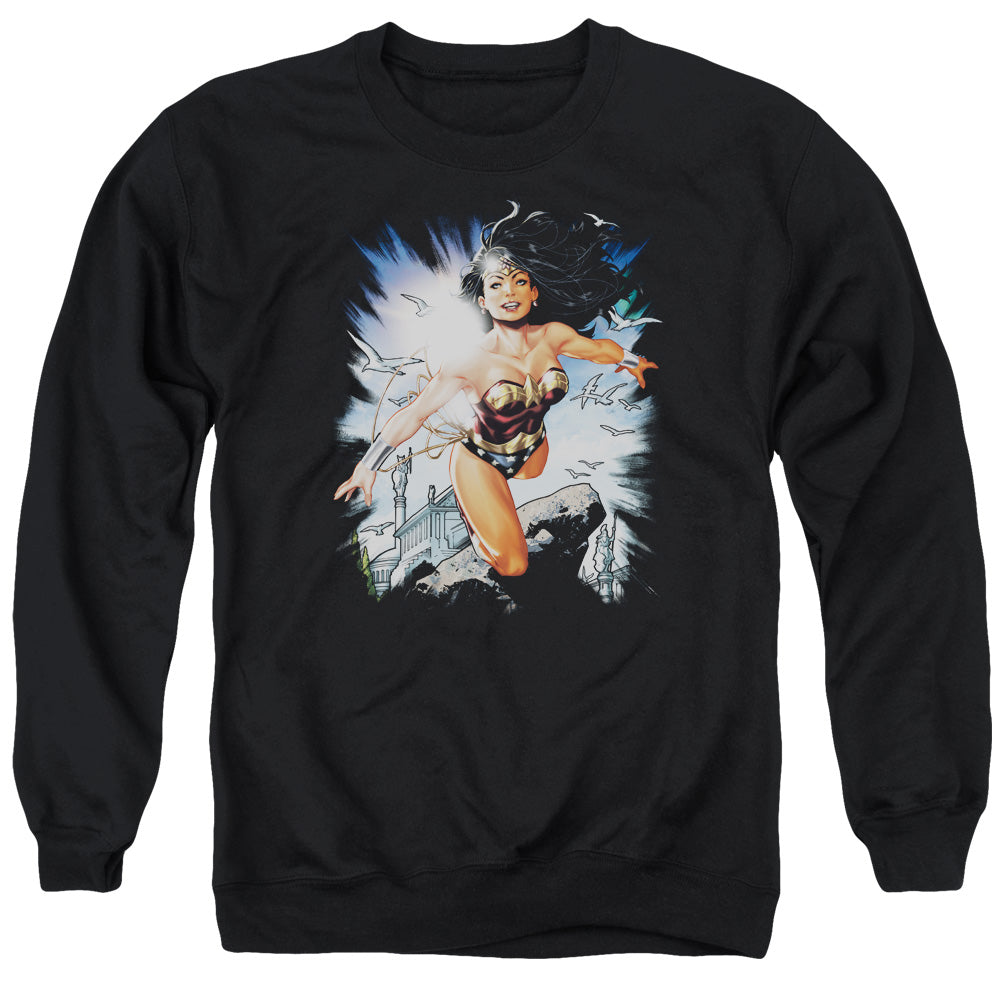 Justice League Of America Of Themyscira Mens Crewneck Sweatshirt Black Officially Licensed