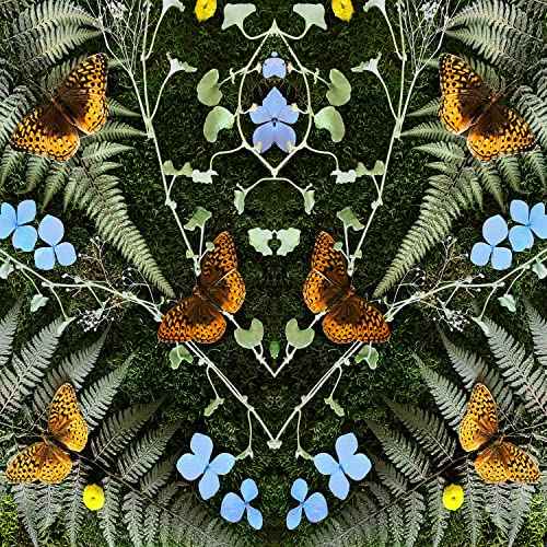 aubades [LP] [Vinyl]