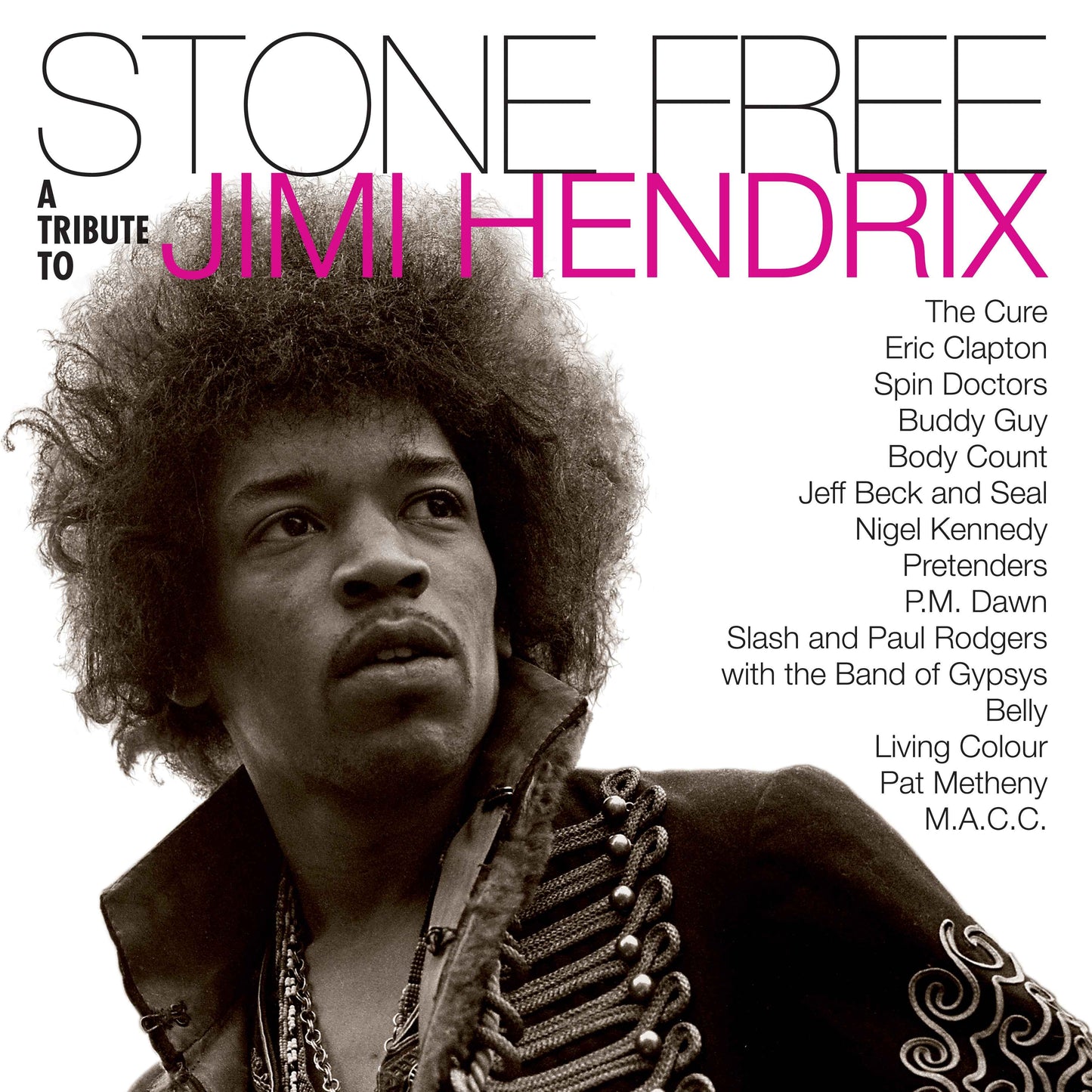 Stone Free: Jimi Hendrix Tribute ( ROCKTOBER 2020 BRICK N MORTAR EXCLUSIVE) [Vinyl]