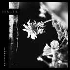 Wallflowers [Vinyl]