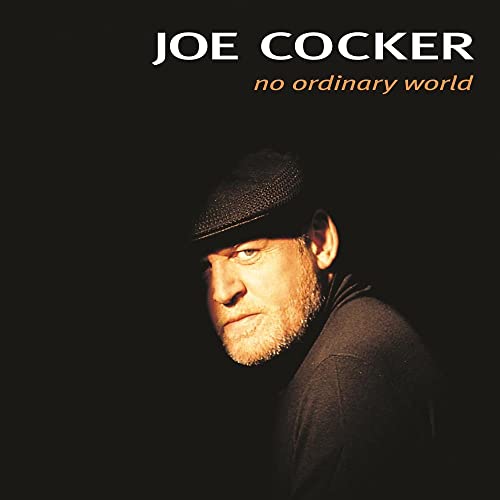No Ordinary World [2 LP] [Vinyl]
