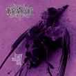 Brave Murder Day [Vinyl]