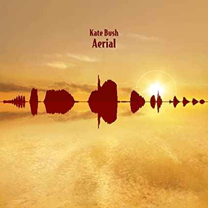Aerial [Vinyl]