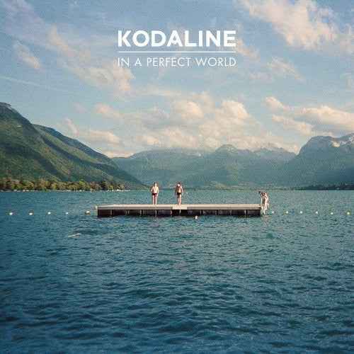 In a Perfect World [Vinyl]