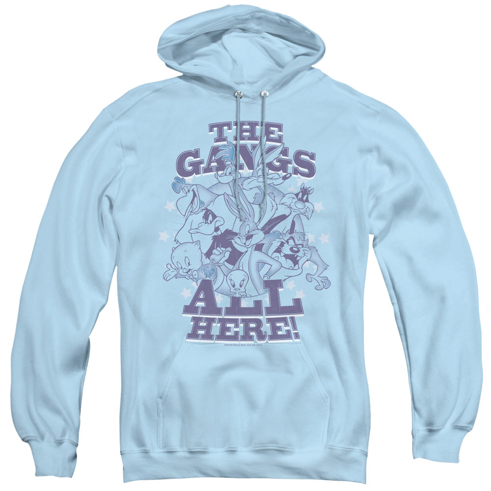 Looney Tunes Blue Gang Mens Hoodie Light Blue Officially Licensed