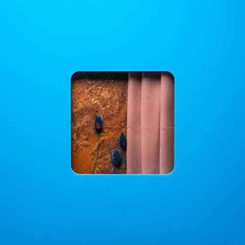 VICTIM OF A MODERN AGE [Vinyl]
