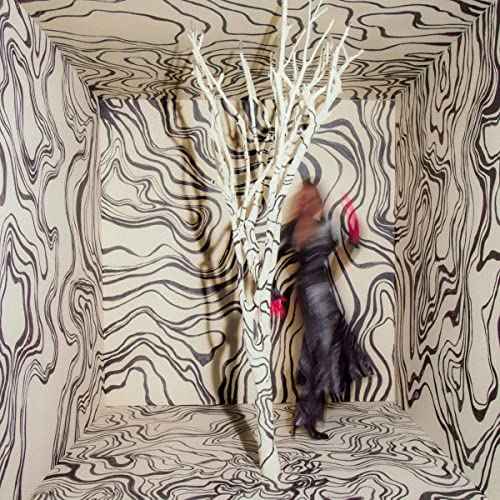 Revealer [LP] [Vinyl]