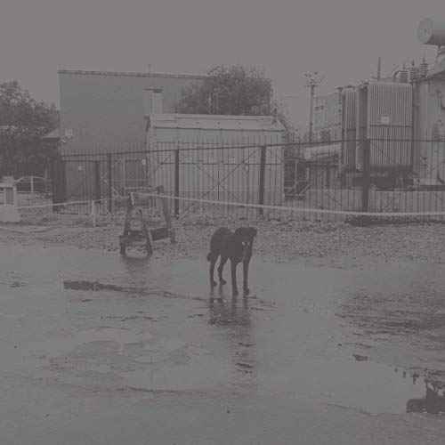 After its own death / Walking in a spiral towards the house [Vinyl]