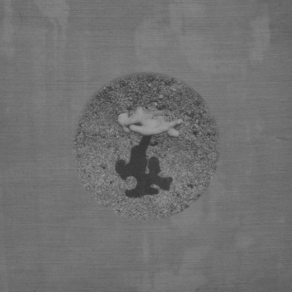PRE-ORDER: Tara Cunningham - Warm Ground [Vinyl]
