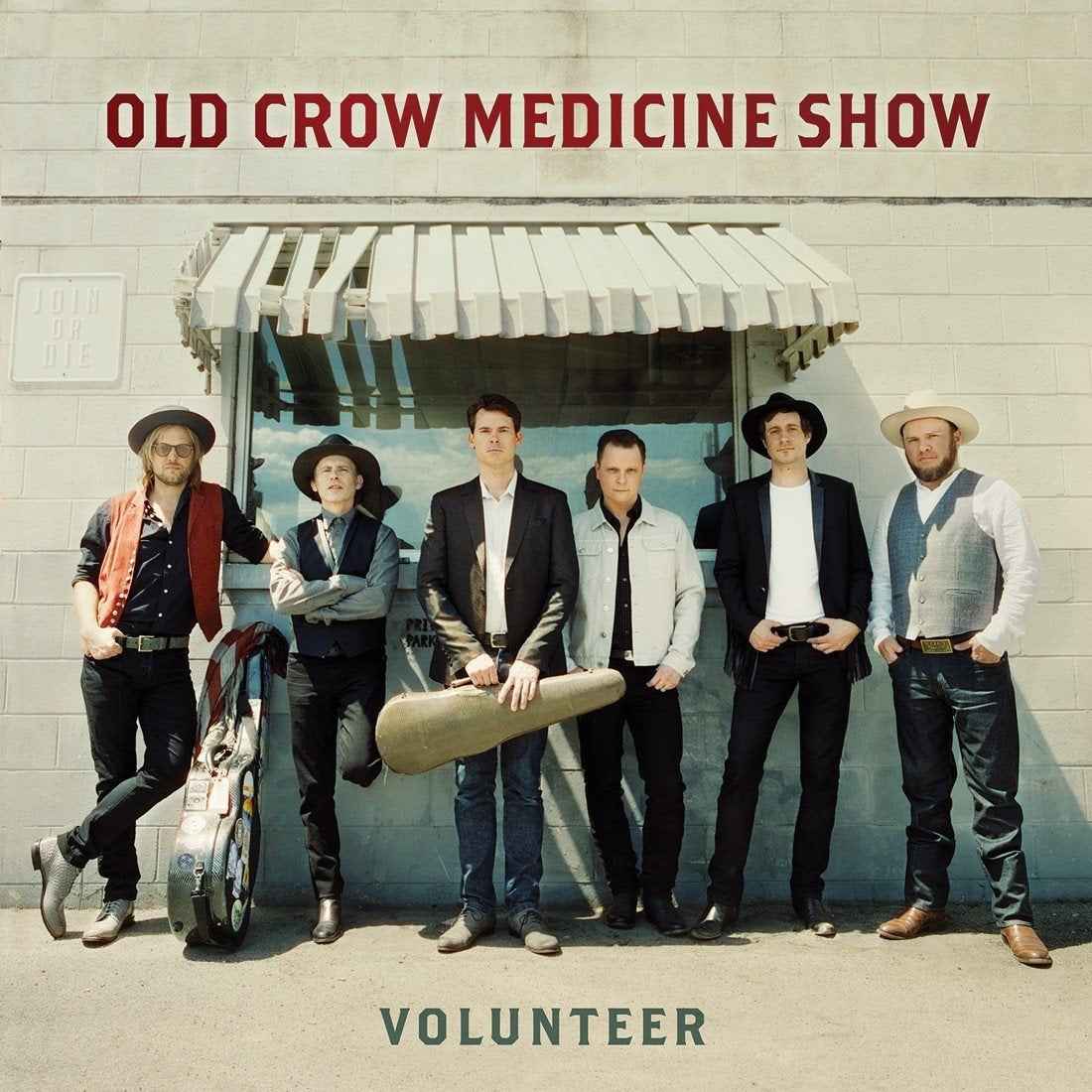 Volunteer [Vinyl]