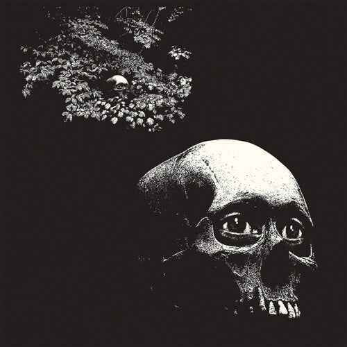 A Foul Form [Vinyl]
