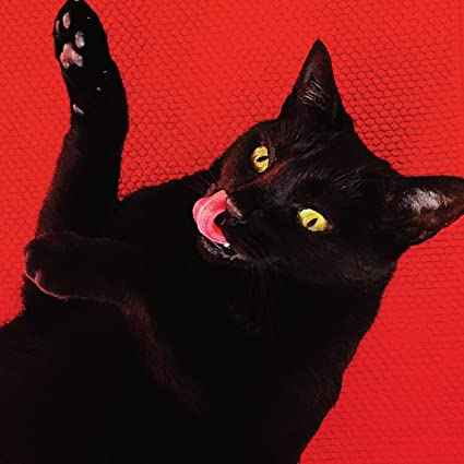 Big Colors (Red Vinyl with Bonus 7") [Explicit Content] [Vinyl]