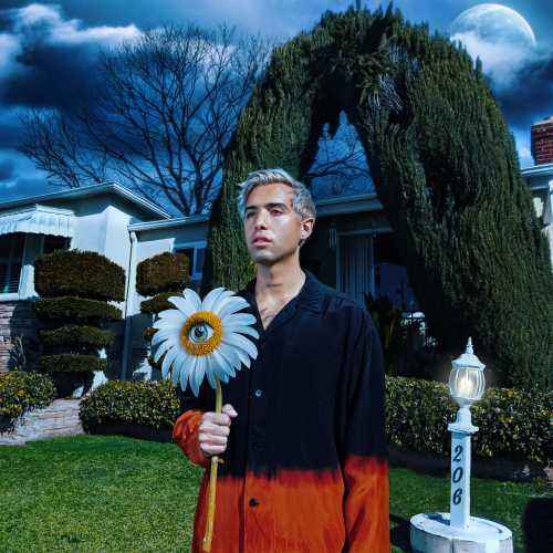 Northend Sweetheart [Opaque Sunburst LP] [Vinyl]