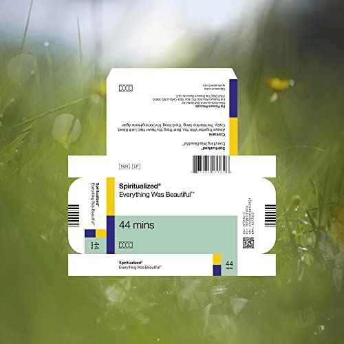 EVERYTHING WAS BEAUTIFUL [Vinyl]